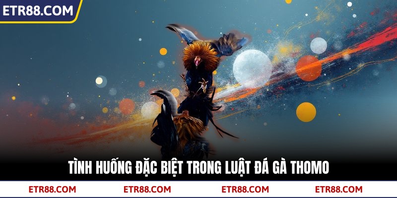 Tình huống đặc biệt trong luật đá gà Thomo Tình huống đặc biệt trong luật đá gà Thomo